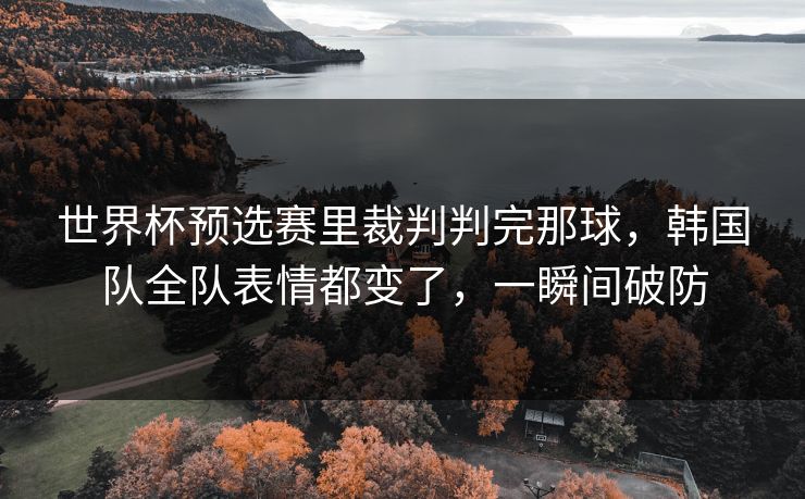 世界杯预选赛里裁判判完那球,韩国队全队表情都变了,一瞬间破防 世界杯预选赛里裁判判完那球,韩国队全队表情都变了,一瞬间破防
